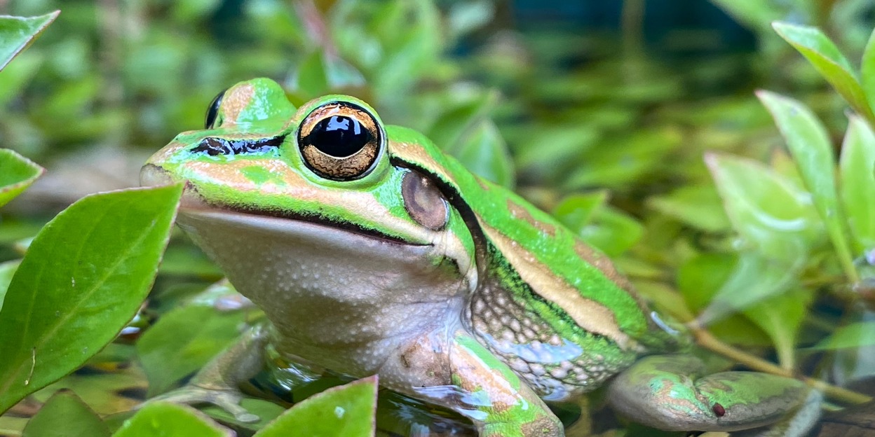 Drie jonge natuurbeschermers veroveren felbegeerde prijs